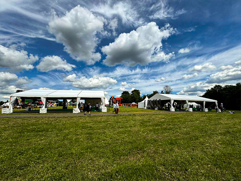 Шатер Павильон 10x15