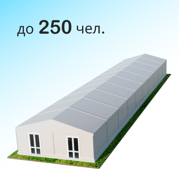 Шатер Павильон 10x50