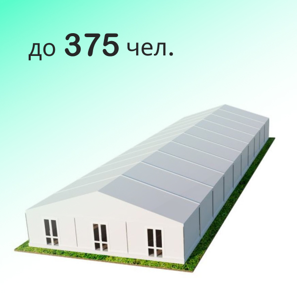 Шатер Павильон 15x50