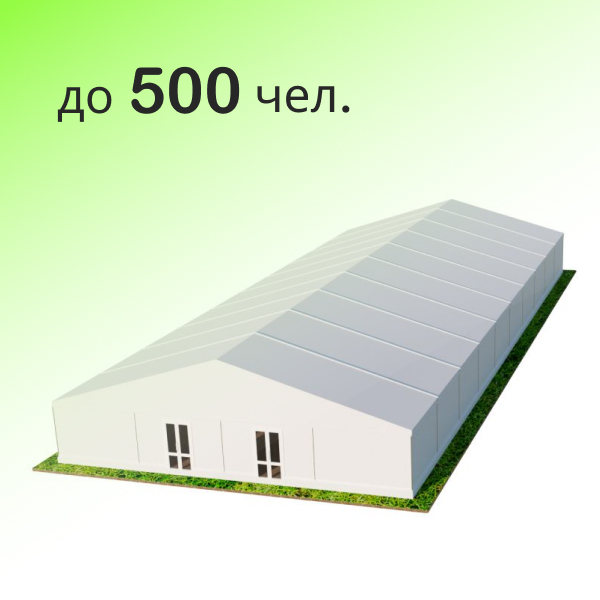 Шатер Павильон 20x50