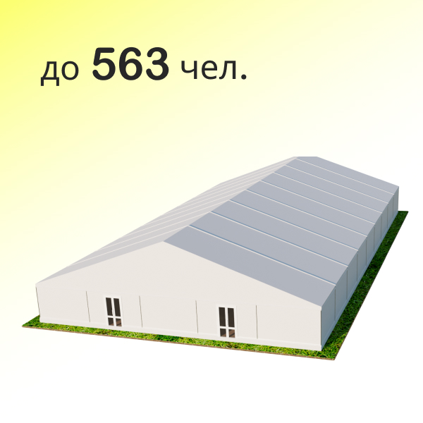 Шатер Павильон 25x45