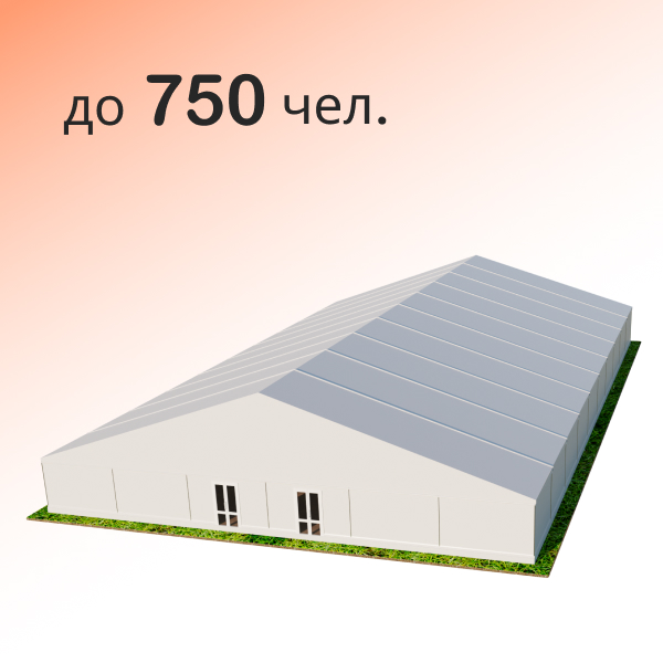 Шатер Павильон 30x50