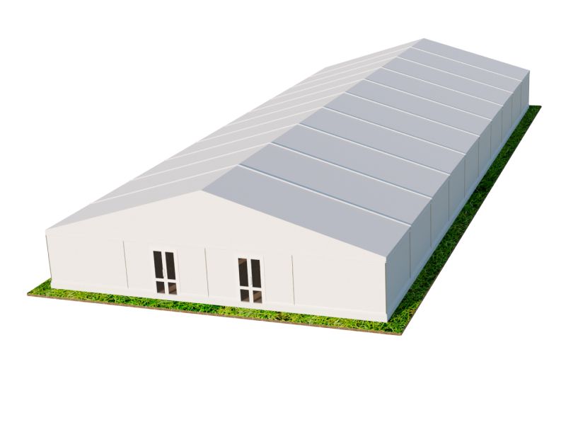 Шатер Павильон 20x50