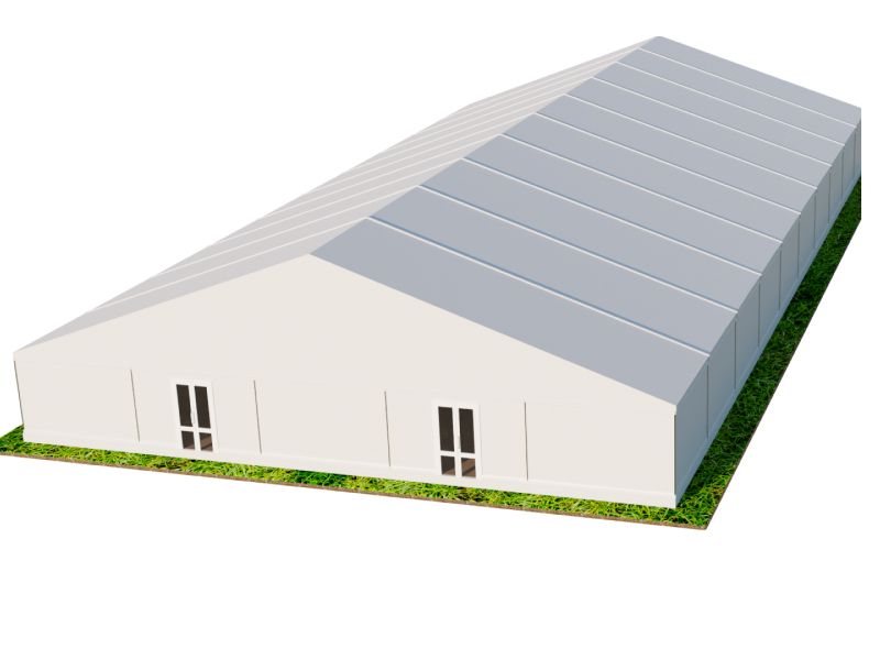 Шатер Павильон 25x50