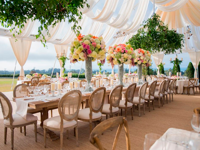 Стул Леон со спинкой из ротанга