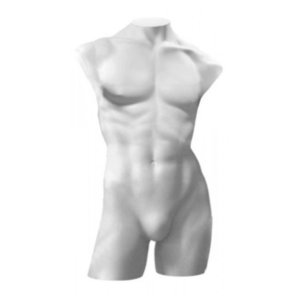 Торс мужской удлинённый