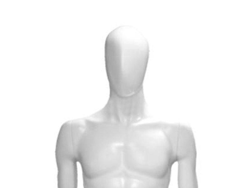 Торс мужской удлинённый с головой