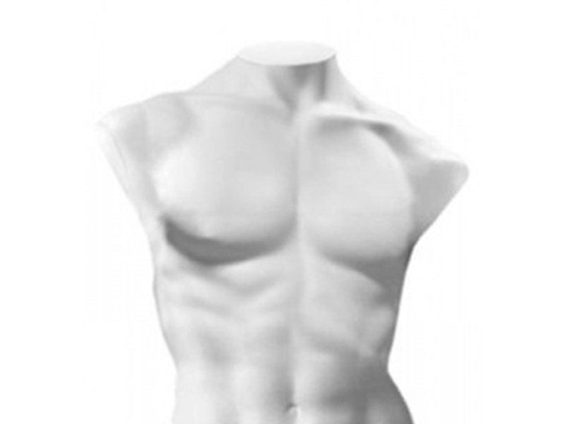 Торс мужской удлинённый