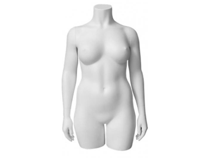 Женский удлинённый торс